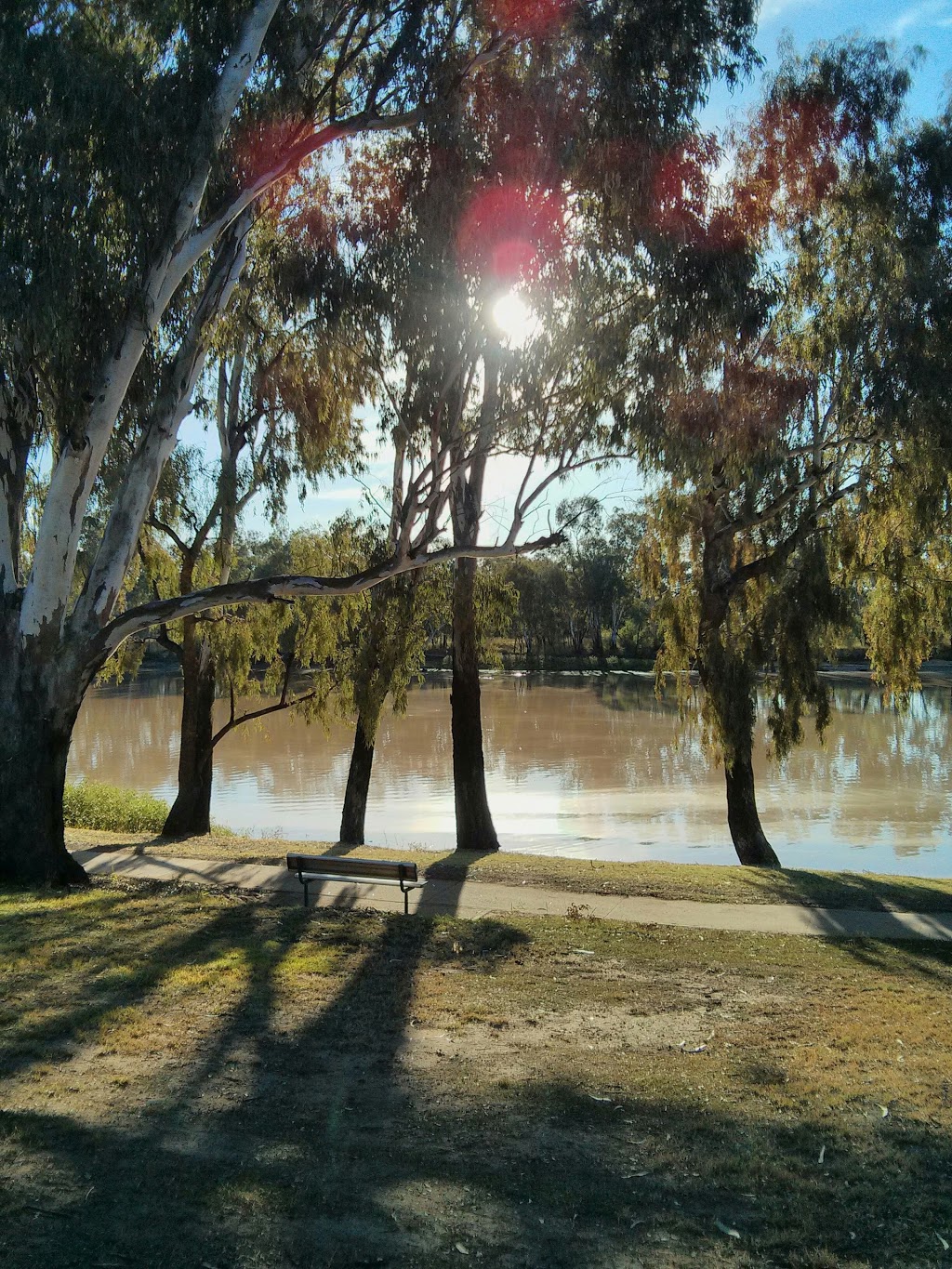 Balonne Shire Visitors Information Centre | 114 St Georges Terrace, St George QLD 4487, Australia | Phone: (07) 4620 8877