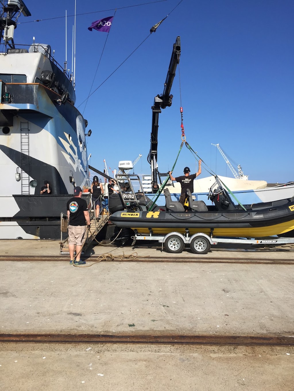 Sea Shepherd | 2 Ann St, Williamstown VIC 3016, Australia | Phone: 1300 623 267