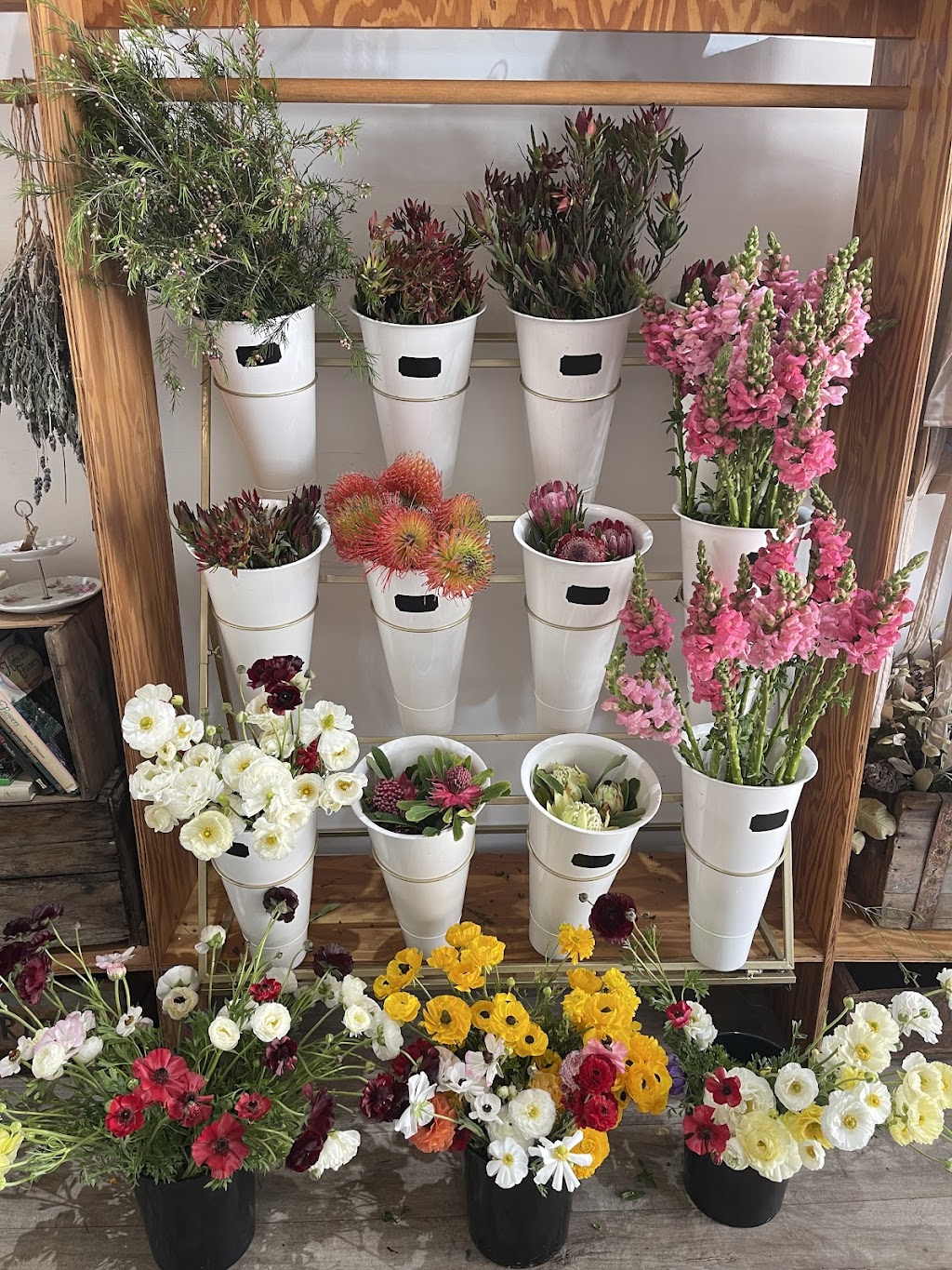 Edellen Flowers | 49 Gaskill St, Canowindra NSW 2804, Australia | Phone: 0419 847 461