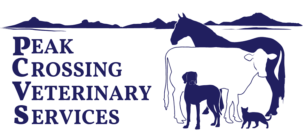 Peak Crossing Veterinary Services | veterinary care | 31 Fassifern St, Peak Crossing QLD 4306, Australia | 0754672277 OR +61 7 5467 2277