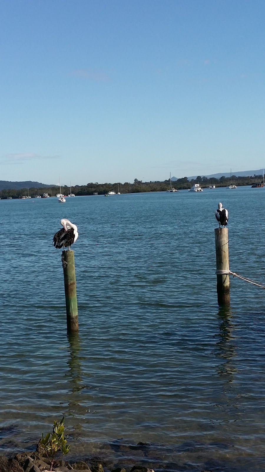 The River Read | 2/203 Gympie Terrace, Noosaville QLD 4566, Australia | Phone: (07) 5473 0483