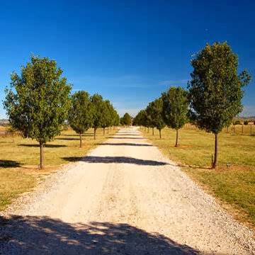 Owl Head Lodge | 241 Bergalin Rd, Gulgong NSW 2852, Australia | Phone: 0473 742 744