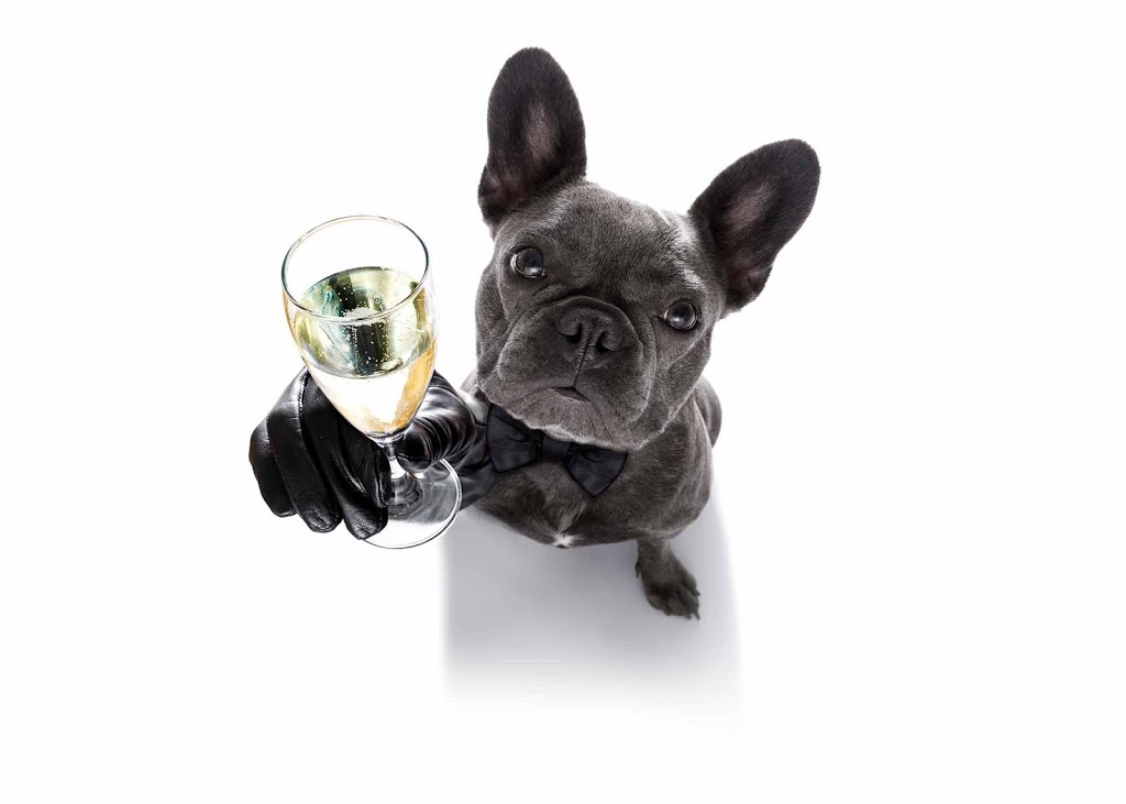 Pooches and Pinot | 65 Newgrove Rd, Healesville VIC 3777, Australia | Phone: 0488 046 993
