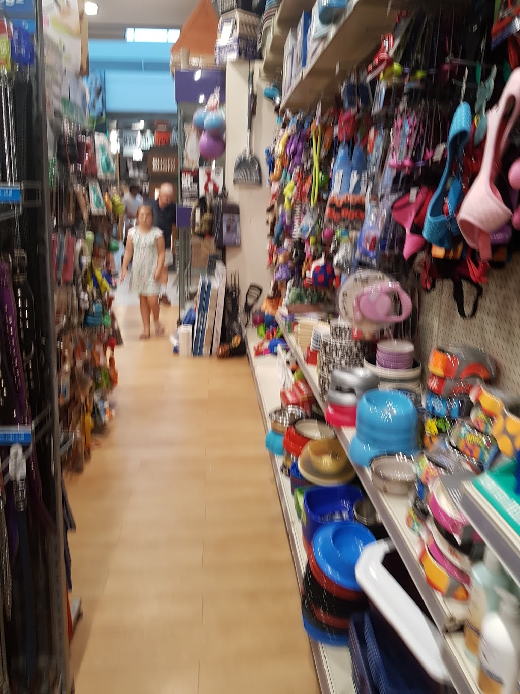 Pets at Play | pet store | 1-29 Millaroo Dr, Helensvale QLD 4212, Australia | 0262515015 OR +61 2 6251 5015