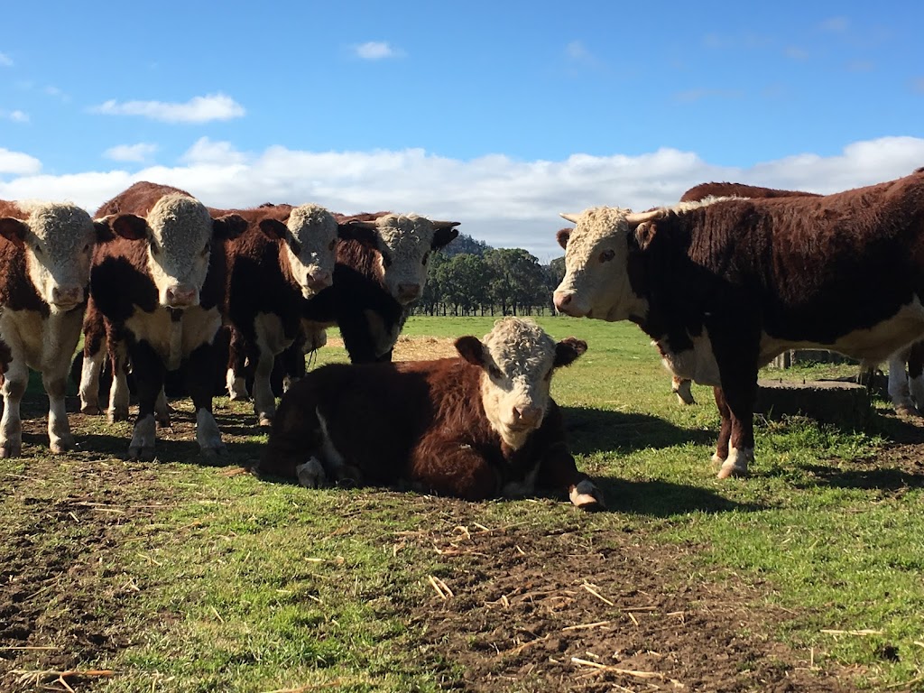 Quayle Milling Quality Livestock Nutrition | 133 Lovell St, Young NSW 2594, Australia | Phone: (02) 6382 1666