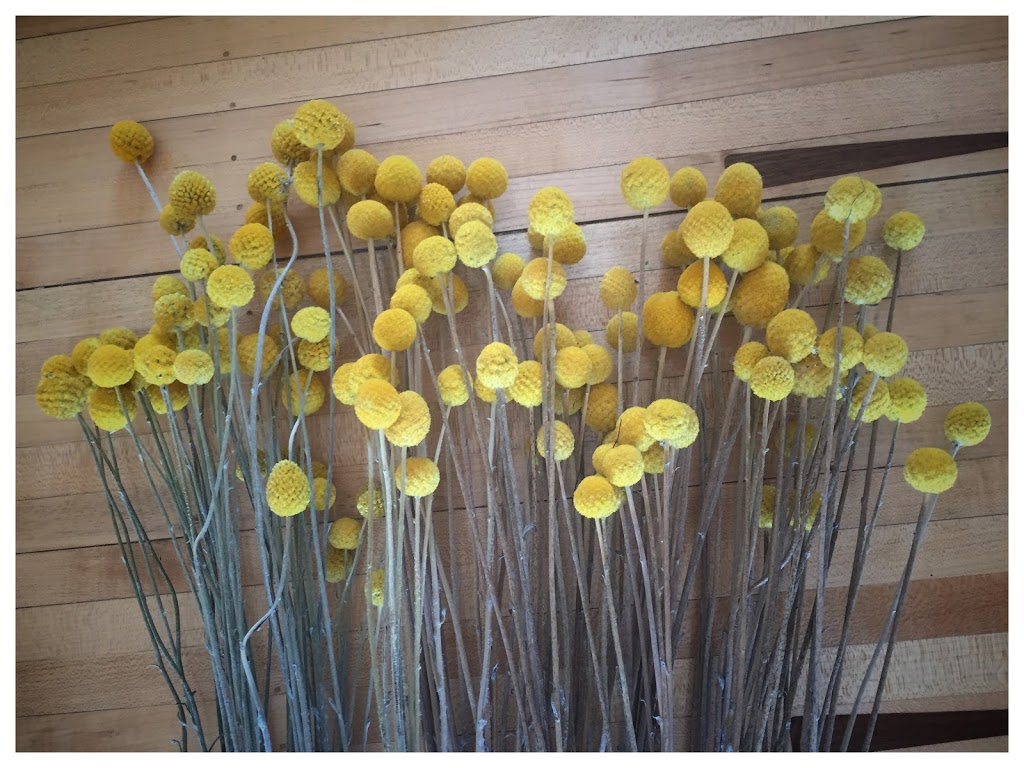 Fleurs de Lyonville |  | 35 Leishmans Ln, Lyonville VIC 3461, Australia | 0416970543 OR +61 416 970 543