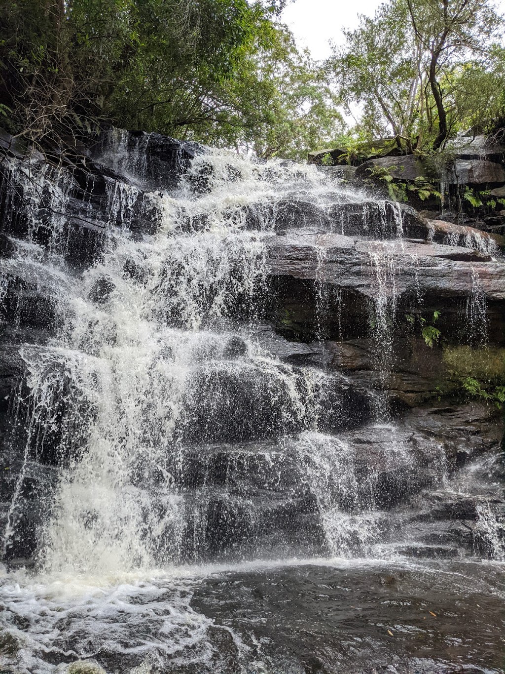 Somersby Falls picnic area | Somersby Falls Rd, Somersby NSW 2250, Australia | Phone: (02) 4320 4200