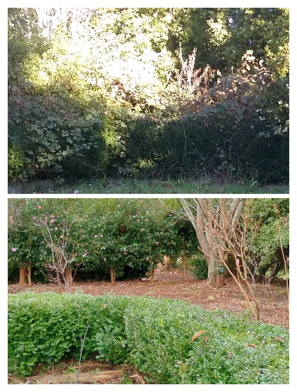 KL - West Garden Services. Kinglake West | 100 National Park Rd, Kinglake West VIC 3757, Australia | Phone: 0473 168 096