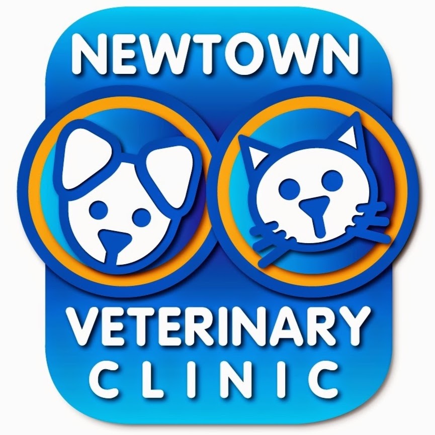 Newtown Veterinary Clinic | veterinary care | 121 W Fyans St, Newtown VIC 3220, Australia | 0352215333 OR +61 3 5221 5333