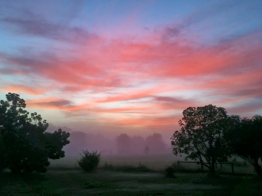 Tallowood Ridge B&B | campground | 79 Mooral Creek Rd, Cedar Party NSW 2429, Australia | 0265570438 OR +61 2 6557 0438