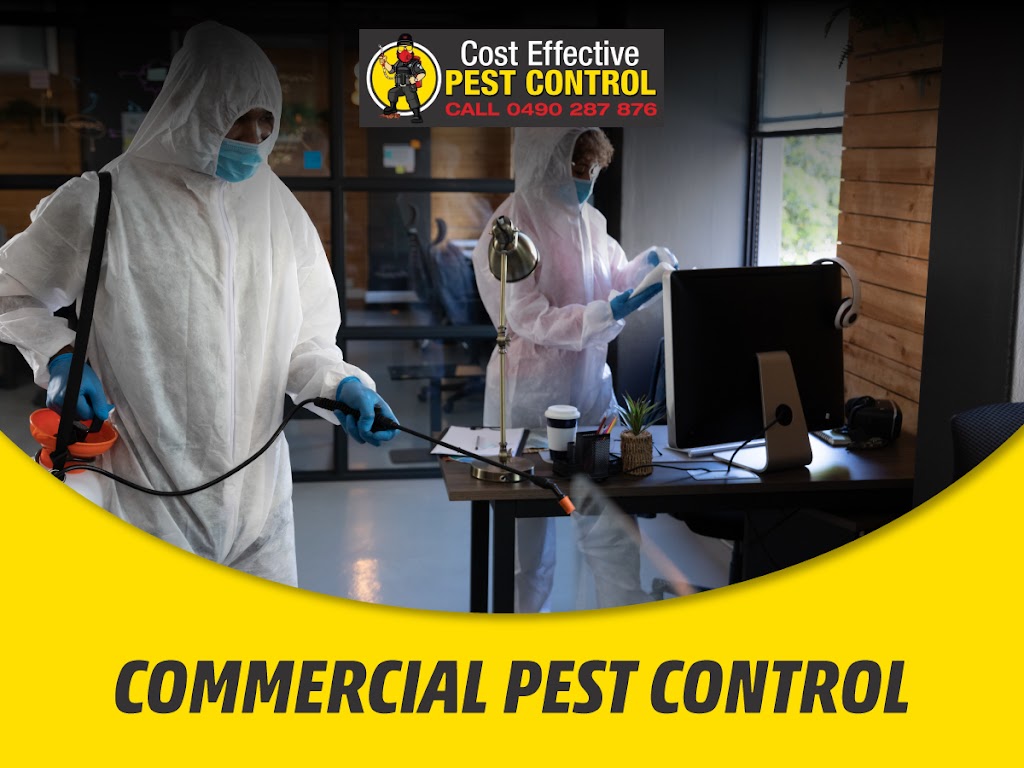 Cost Effective Pest Control | 117 Lake Entrance Rd, Barrack Heights NSW 2528, Australia | Phone: 0490 287 876