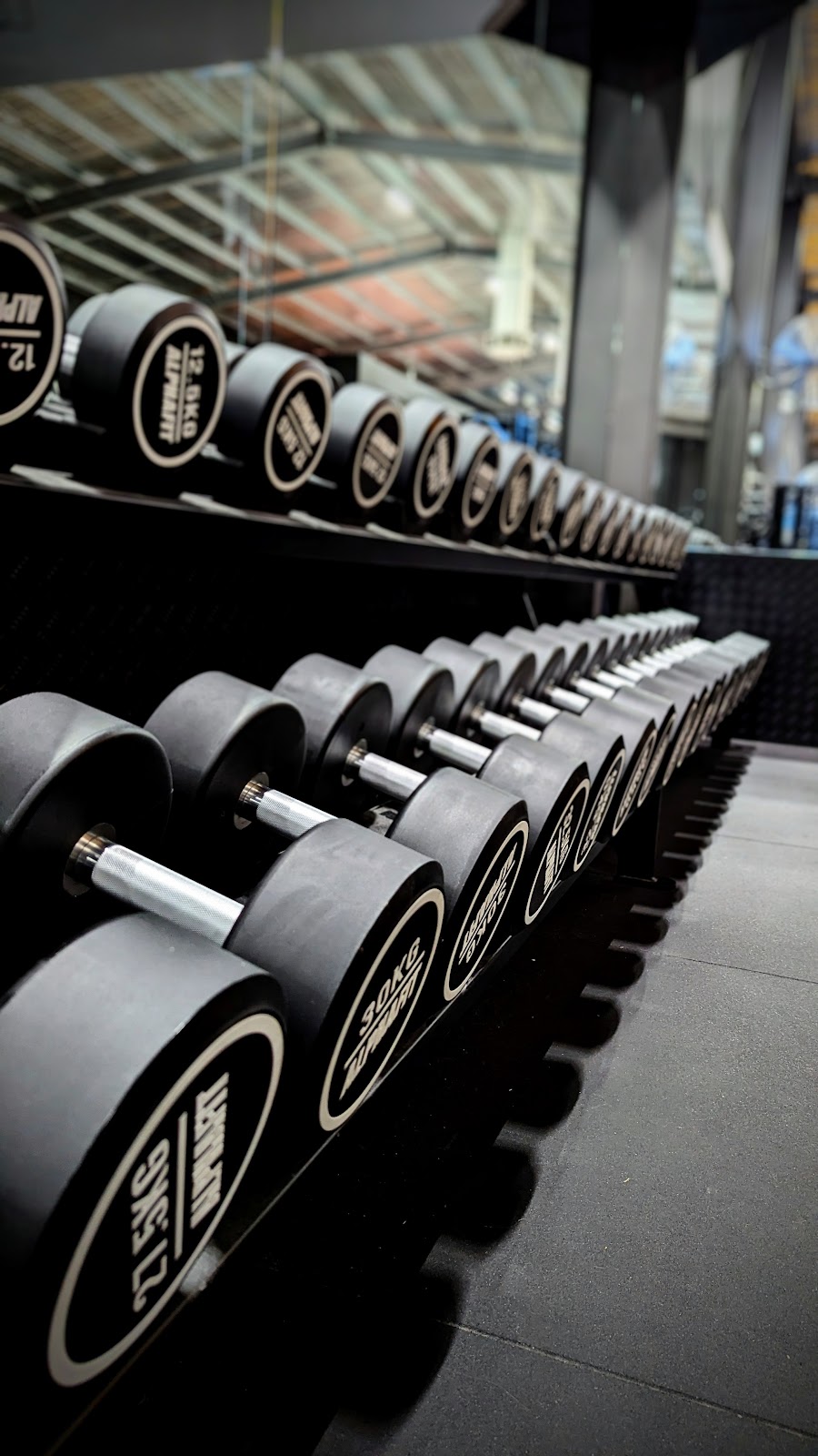 C1 Gym | 5 Hugh Murray Dr, Colac East VIC 3250, Australia | Phone: 0461 497 114