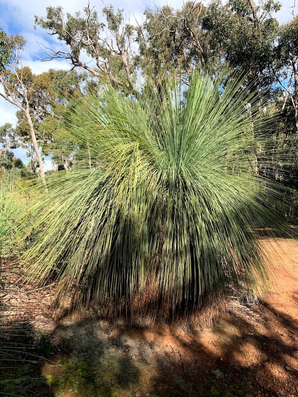 Anakie Gorge Picnic Area |  | Brisbane Ranges National Park, Anakie Gorge Walk, Staughton Vale VIC 3340, Australia | 131963 OR +61 131963