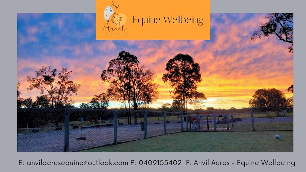 Anvil Acres - Equine Wellbeing | 2013 New England Hwy, Greta NSW 2334, Australia | Phone: 0409 155 402