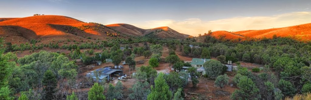 Skytrek Willow Springs Station | campground | Hawker SA 5434, Australia | 0886480016 OR +61 8 8648 0016