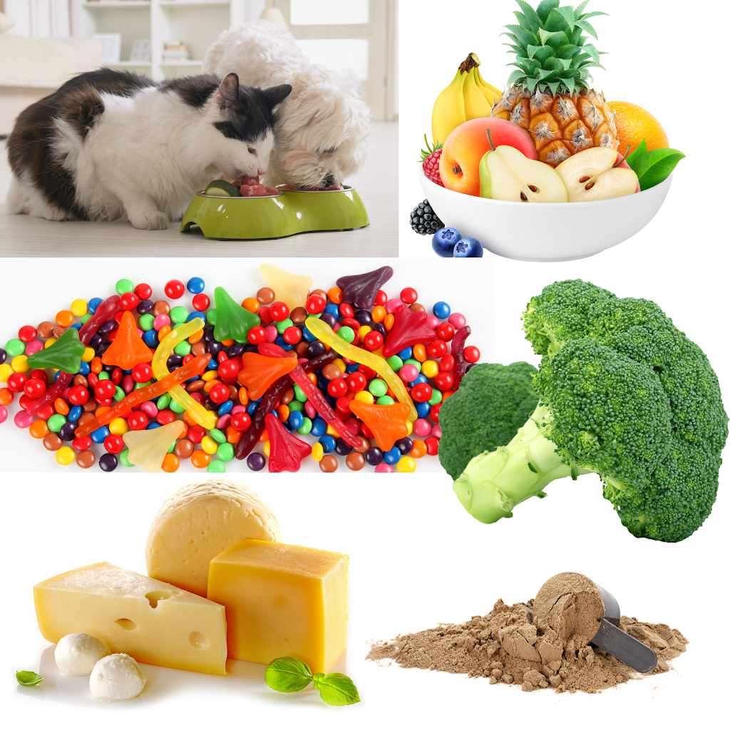 Wholesale Freeze Dried Foods | Gundurimba Rd, Monaltrie NSW 2480, Australia | Phone: 0405 106 126