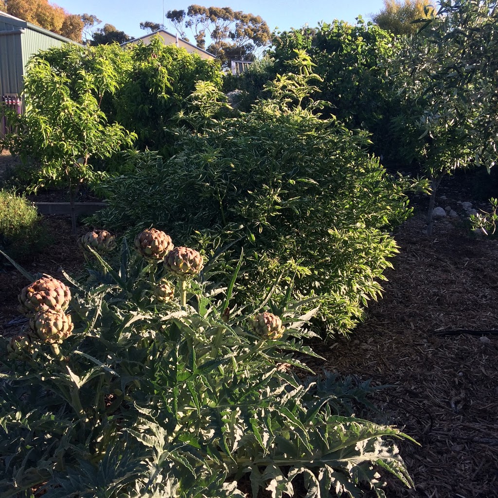 Down to Earth Permaculture |  | 5 Dalrymple Terrace, Stansbury SA 5582, Australia | 0438826523 OR +61 438 826 523