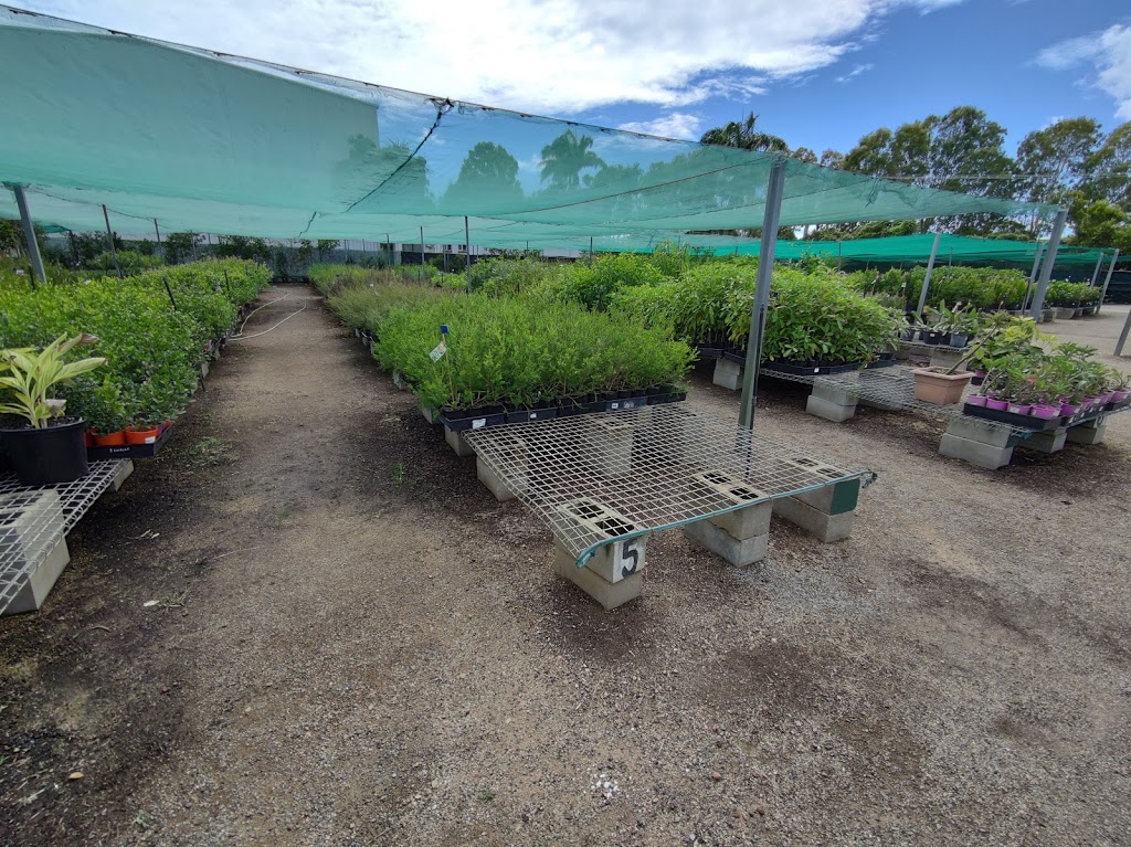 Flora North Nursery |  | 22-24 Bessemer St, Stuart QLD 4811, Australia | 0747290551 OR +61 7 4729 0551
