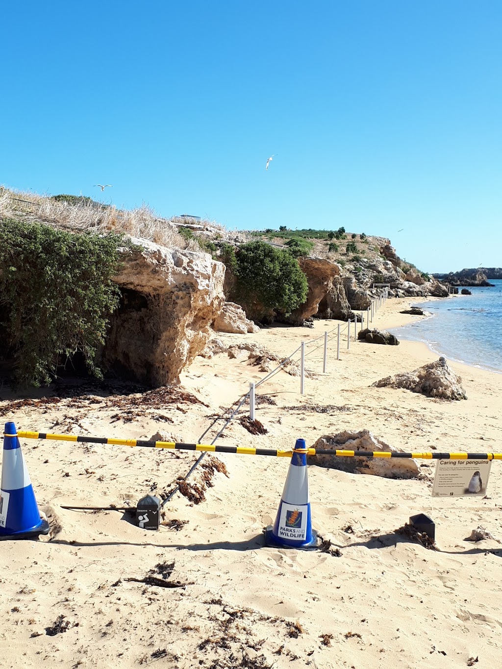 Seaforth McKenzies Cave | Penguin Island, WA, Australia | Phone: 0409 808 903