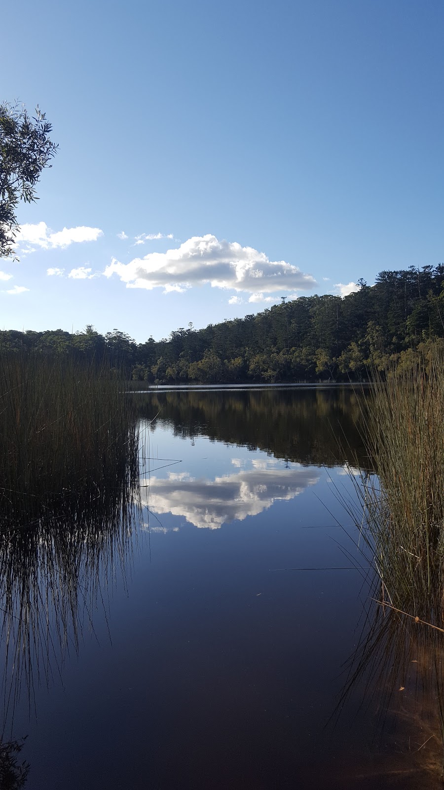 Lake Allom | park | Fraser Island QLD 4581, Australia