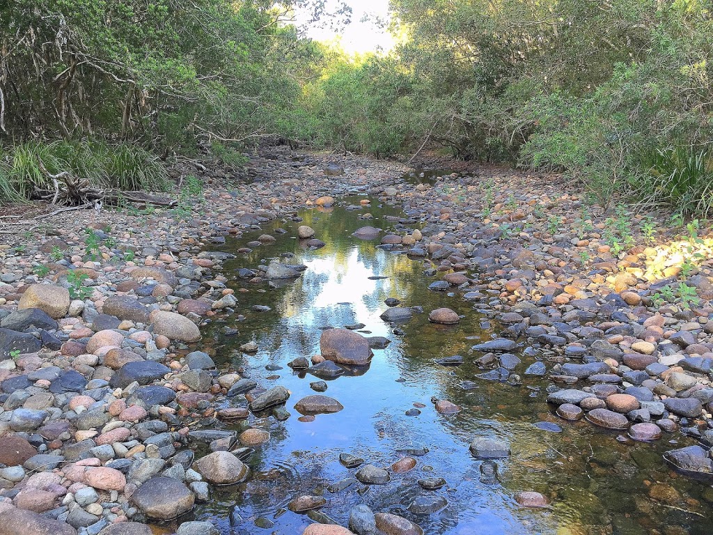 Abergowrie State Forest | Broadwater Park Rd, Abergowrie QLD 4850, Australia