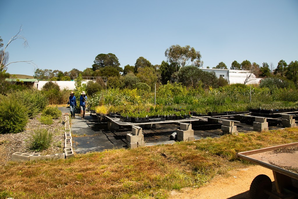 Monaro Native Tree Nursery |  | 168 Gunningrach Rd, Bombala NSW 2632, Australia | 0409584096 OR +61 409 584 096