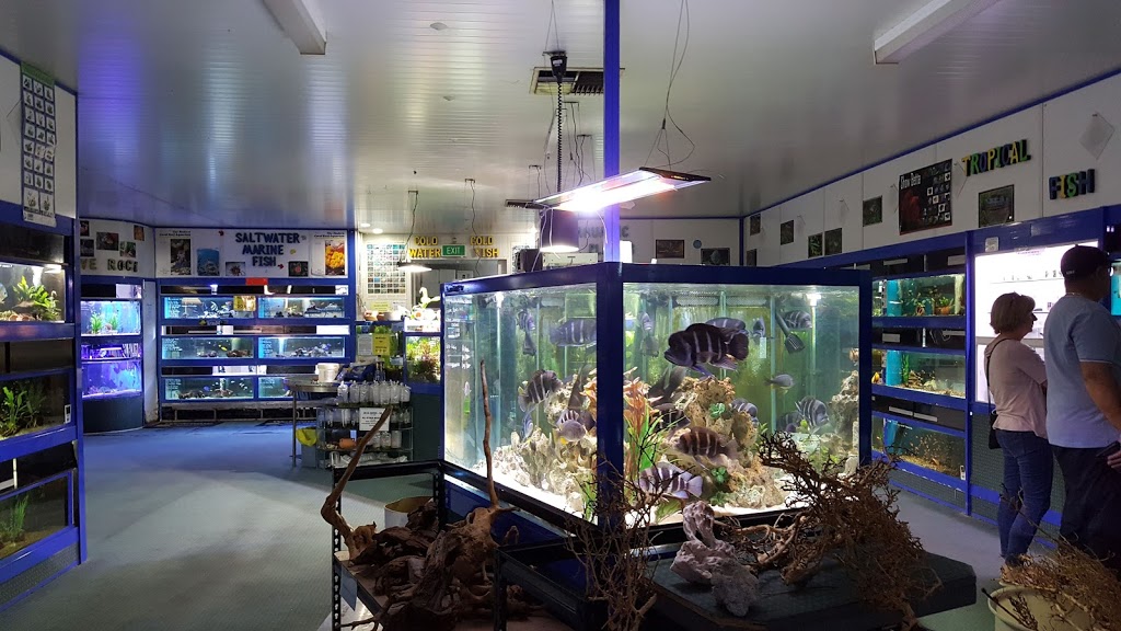 Coburg Aquarium | 232-236 Bell St, Coburg VIC 3058, Australia | Phone: (03) 9354 5843