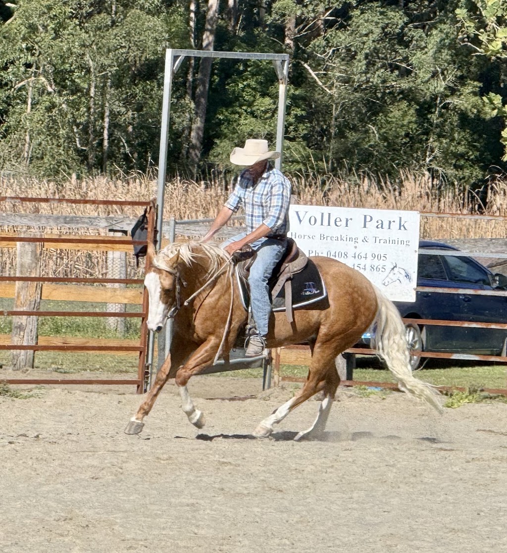 Voller Park Breaking & Training | 126 Halloran Rd, North Arm Cove NSW 2324, Australia | Phone: 0413 454 865