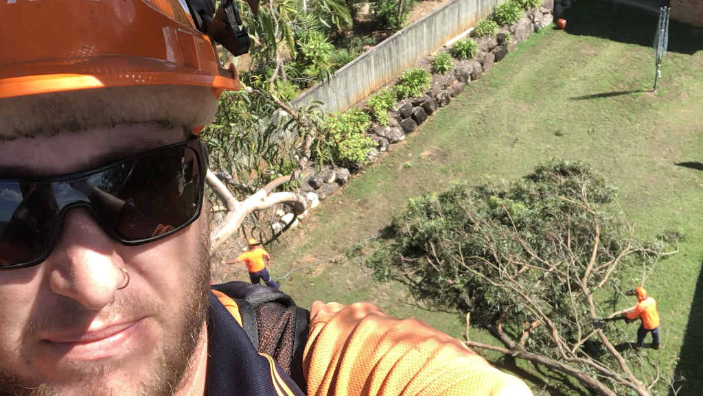 Arborteck tree services |  | 11a Mia St, Kallangur QLD 4503, Australia | 0422241263 OR +61 422 241 263