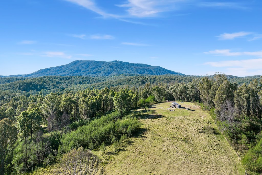 Twin Peak Tiny | 81, 2546 Dignams Creek Rd, Dignams Creek NSW 2546, Australia | Phone: 0405 814 906
