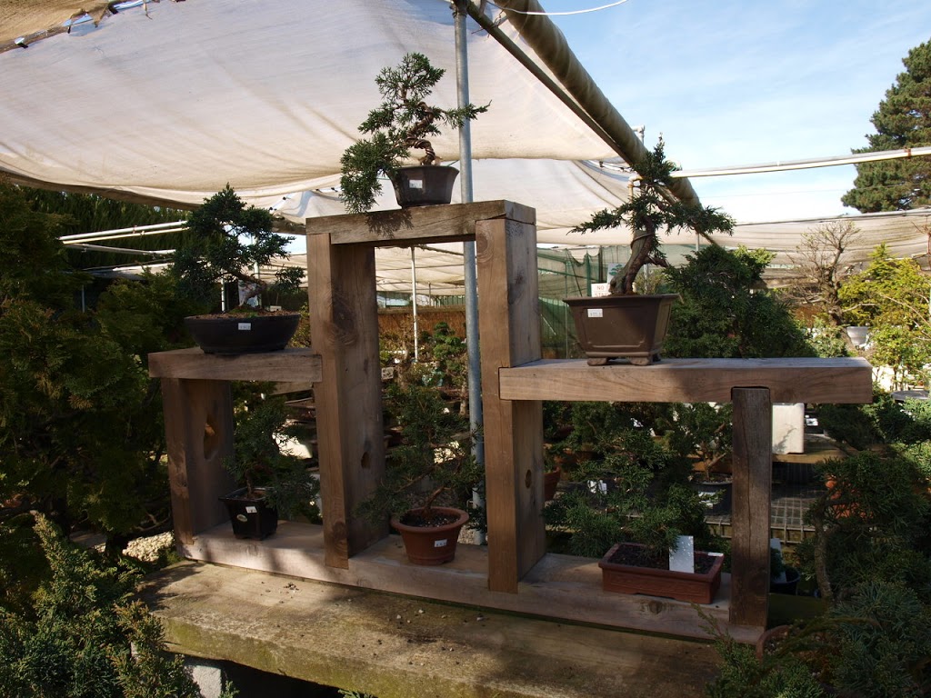 Bonsai Art Nursery |  | 236 Old Dandenong Rd, Heatherton VIC 3202, Australia | 0402096725 OR +61 402 096 725