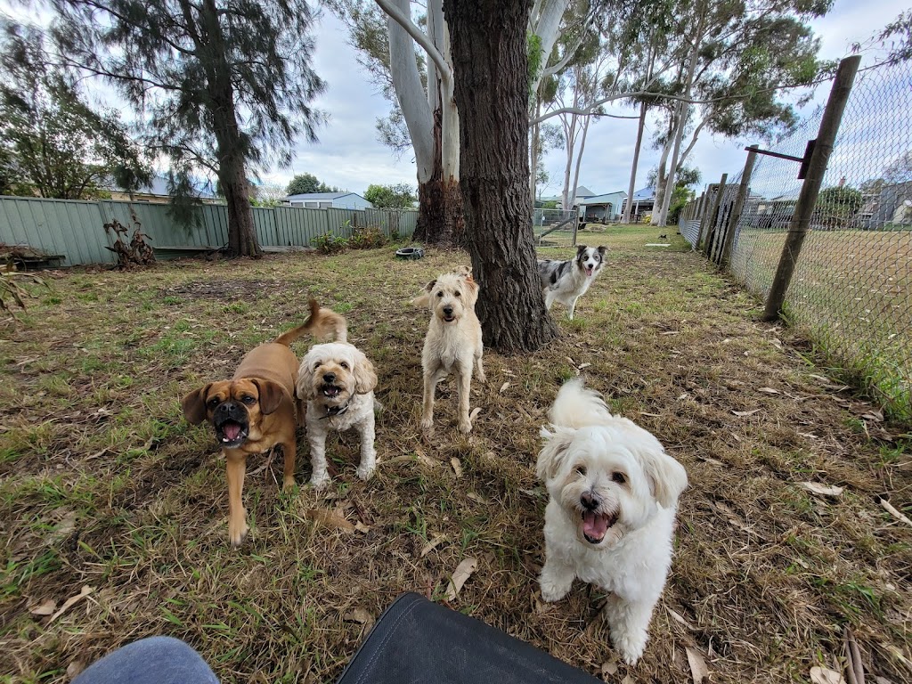 DOGGY RETREAT | Gillies St, Kurri Kurri NSW 2327, Australia | Phone: 0491 626 848