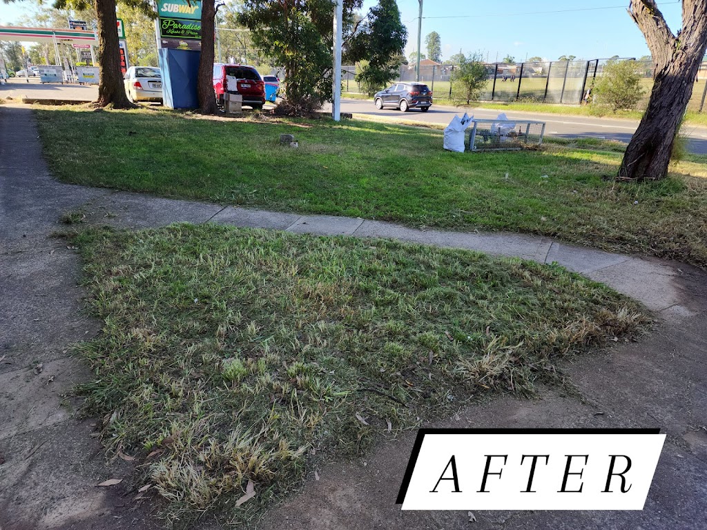 Santos Cleaning Service Sydney | 14 Richmond Cres, Cecil Hills NSW 2171, Australia | Phone: 0458 017 632