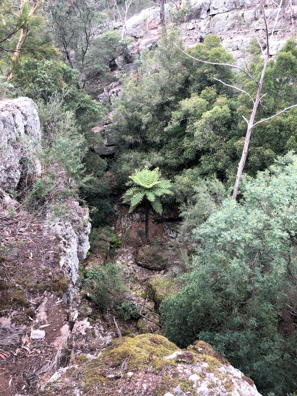 Nicholson Rocks | Kentucky Rd, Monomak VIC 3860, Australia