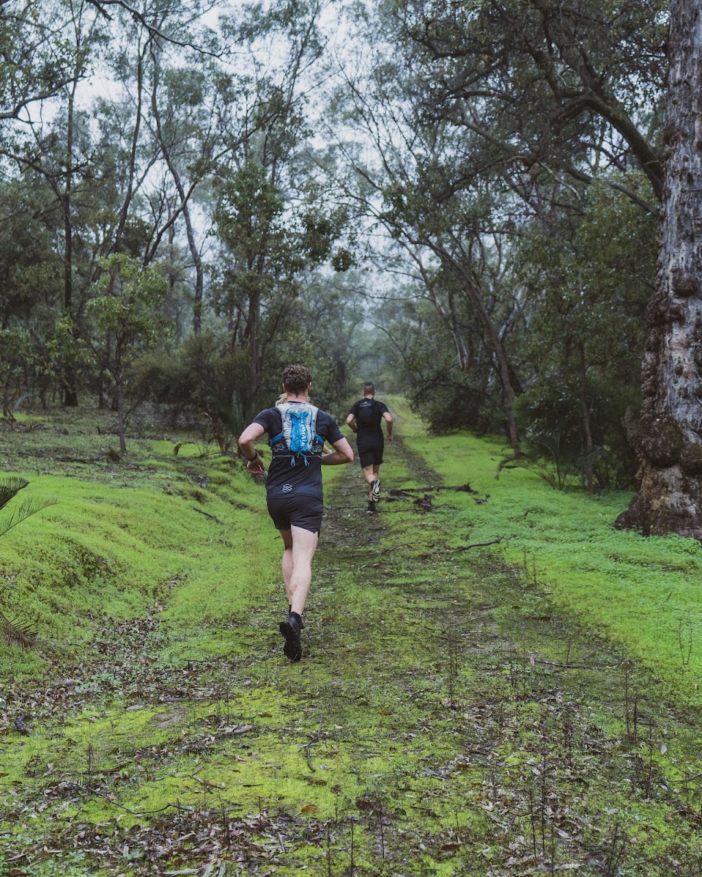 Transcend Trails | West Coast Hwy Floreat, Surf Life Saving Club, City Beach WA 6015, Australia | Phone: 1300 799 915