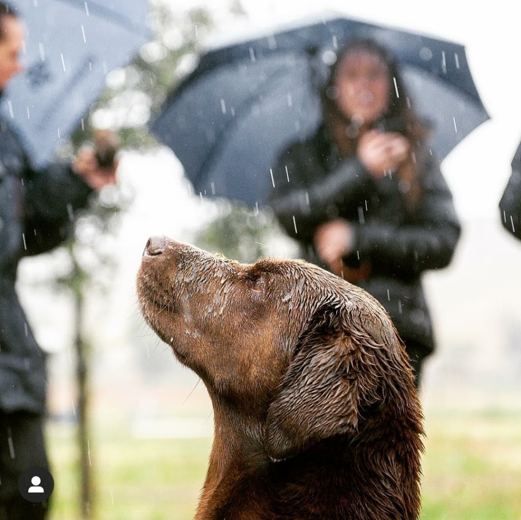 The Truffle Farm | 23 Mount Majura Rd, Australian Capital Territory 2609, Australia | Phone: 0400 483 082