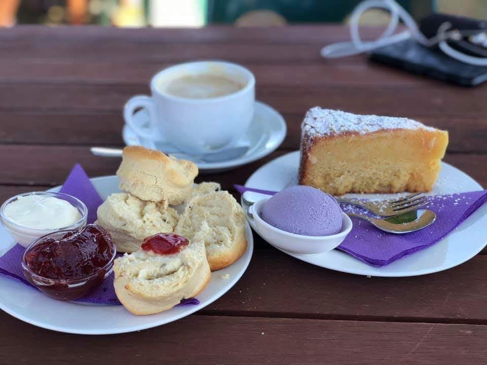 Lyndoch Lavender Farm & Cafe | cafe | Hoffnungsthal Rd & Tweedies Gully Road, Lyndoch SA 5351, Australia | 0885244538 OR +61 8 8524 4538