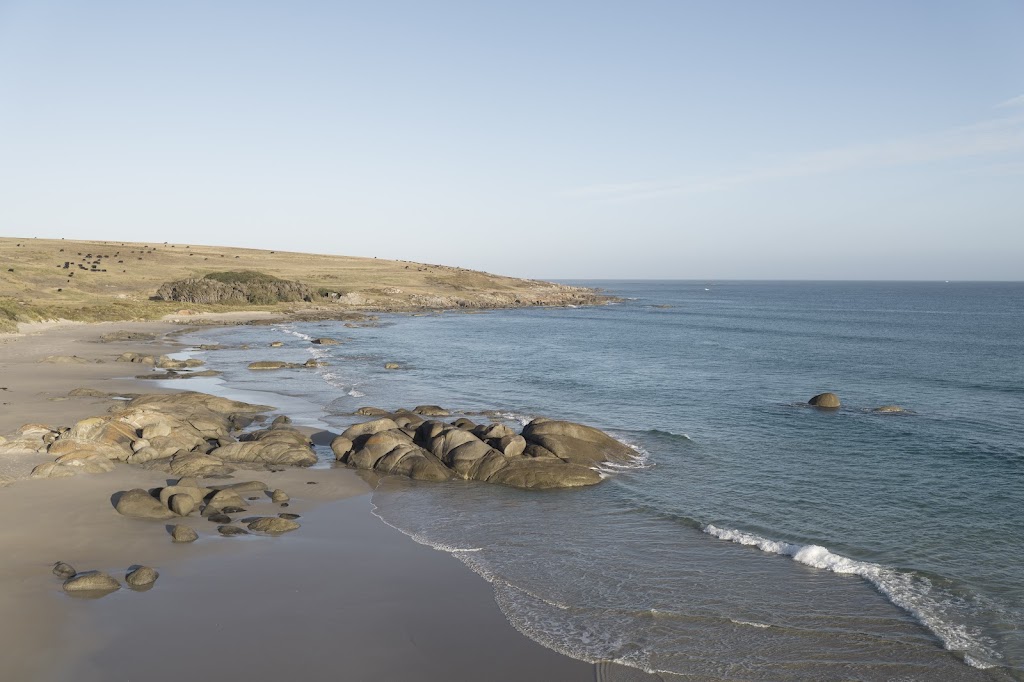 King Island Distillery Bass Strait | 102 Morrison Ave, Loorana TAS 7256, Australia | Phone: 0419 355 234