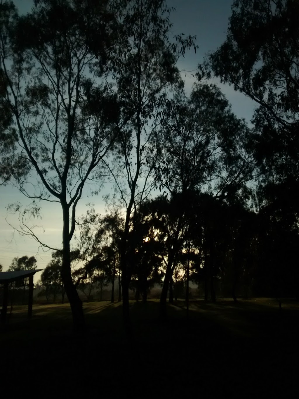 Newells Paddock Wetlands Reserve | park | Footscray VIC 3011, Australia