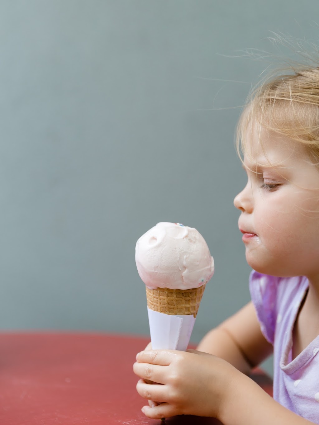 Lemon Lovers Gelato and Cheese | 1 Eagle Heights Rd, Tamborine Mountain QLD 4272, Australia | Phone: (07) 5545 1444