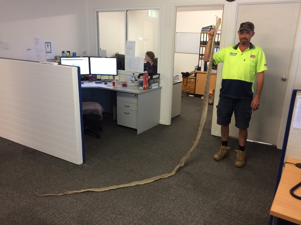 Flick Pest Control Launceston | 3 Translink Ave, Western Junction TAS 7212, Australia | Phone: (03) 6391 8003