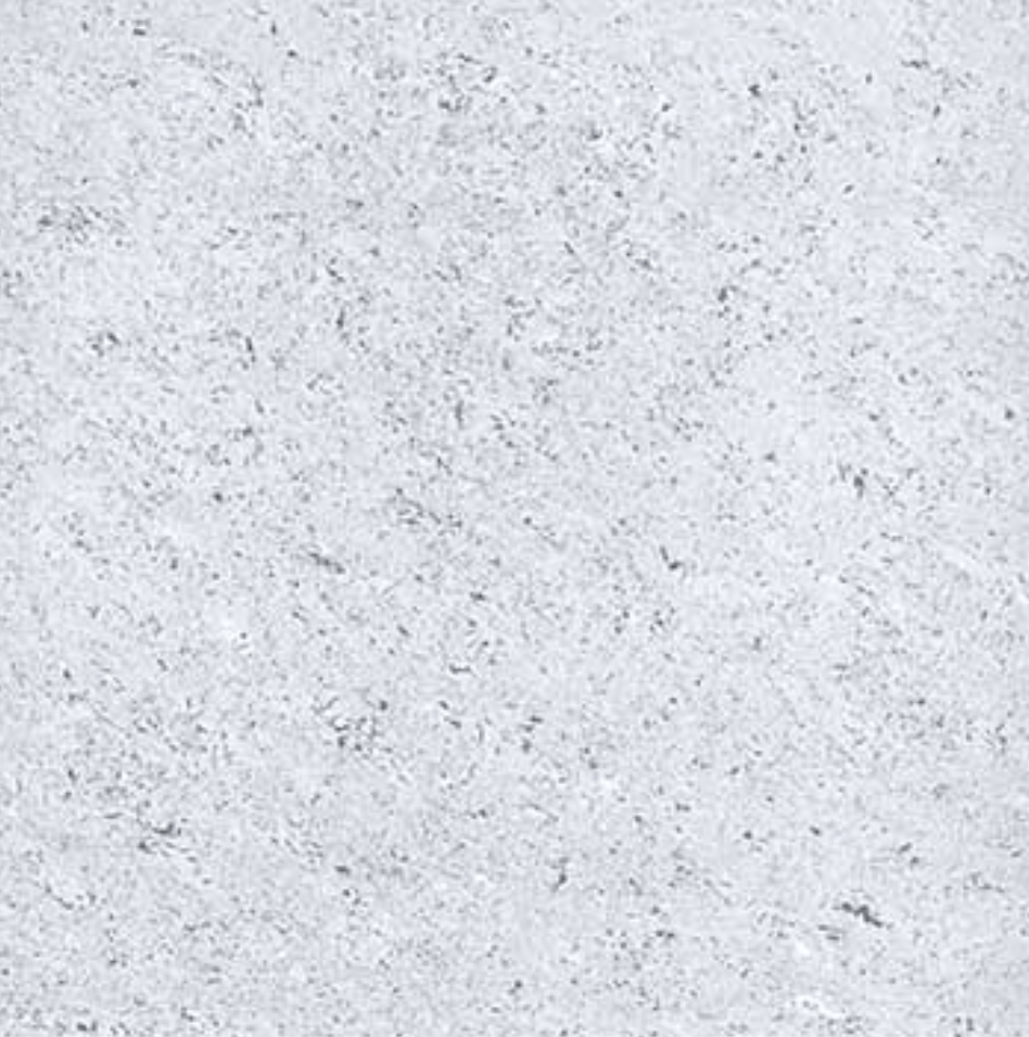 Midcoast Luxury Tiles | 31 Bridge St, Stratford NSW 2422, Australia | Phone: 0420 348 971