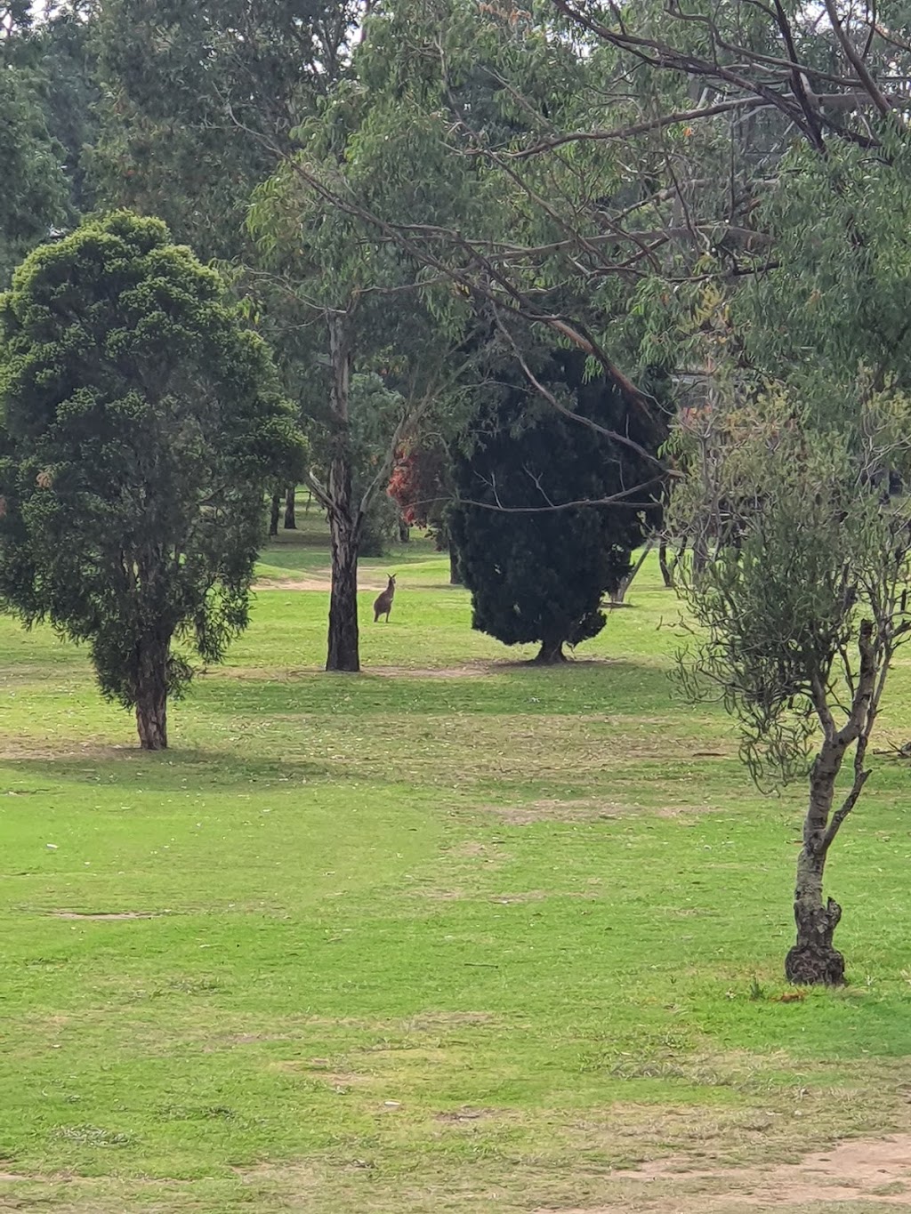 Colonial Golf And Footgolf Course | 1 Werrington Rd, Werrington NSW 2747, Australia | Phone: (02) 9673 3639