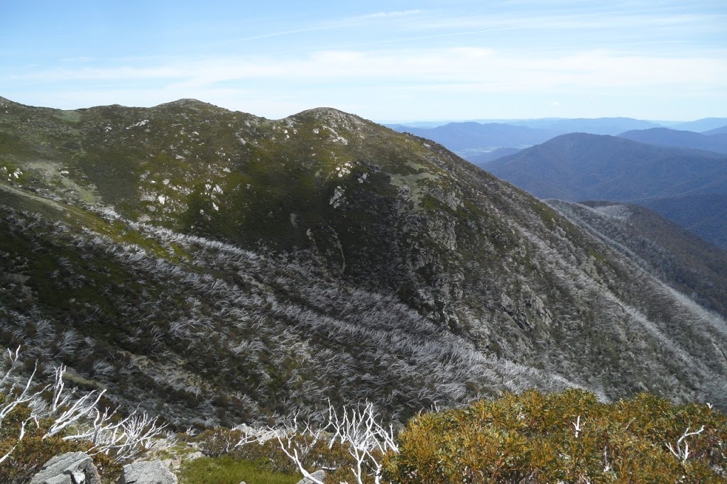 Mountain Creek Campground | campground | Mountain Creek VIC 2644, Australia