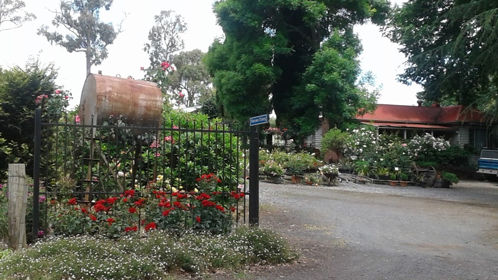 Newstead Roses |  | 387 Monbulk Rd, Monbulk VIC 3793, Australia | 0434875187 OR +61 434 875 187