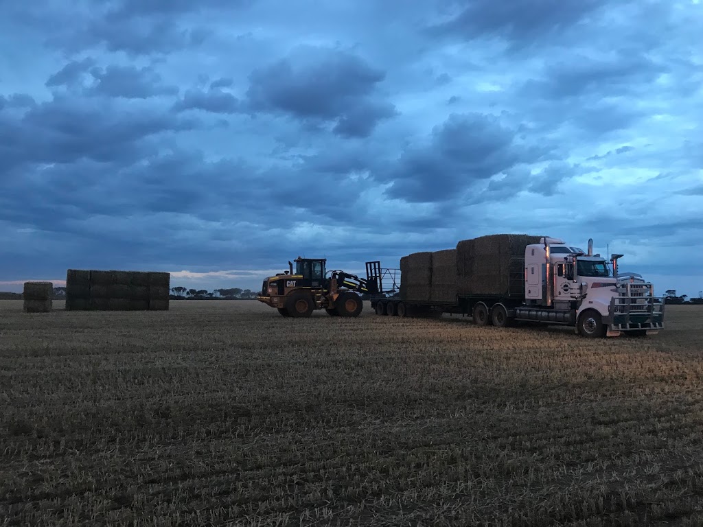 Balowery Pastoral Company | 777 Plains Rd, Erith SA 5461, Australia | Phone: 0438 621 326