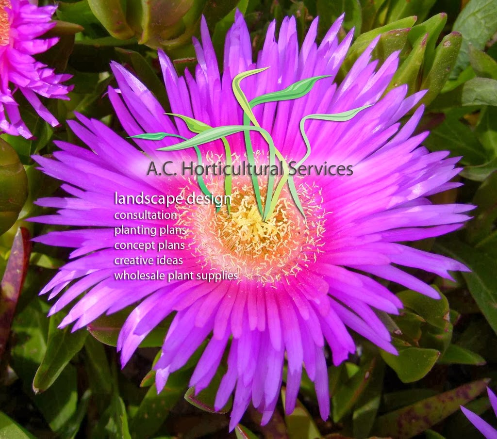 A. C. Horticultural Services | 19 Rabbett St, Sydney NSW 2086, Australia | Phone: 0411 323 684