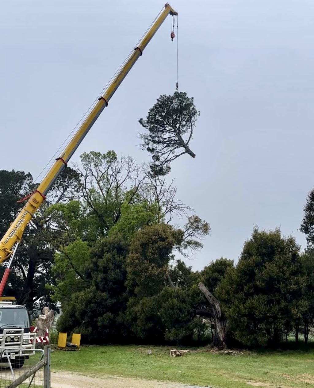 High Plains Tree Care | Steens Rd, Boho South VIC 3669, Australia | Phone: 0467 088 248