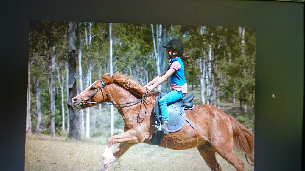 Slickers Horse Riding |  | 116 Dunlop Ln, Kurwongbah QLD 4503, Australia | 0732851444 OR +61 7 3285 1444