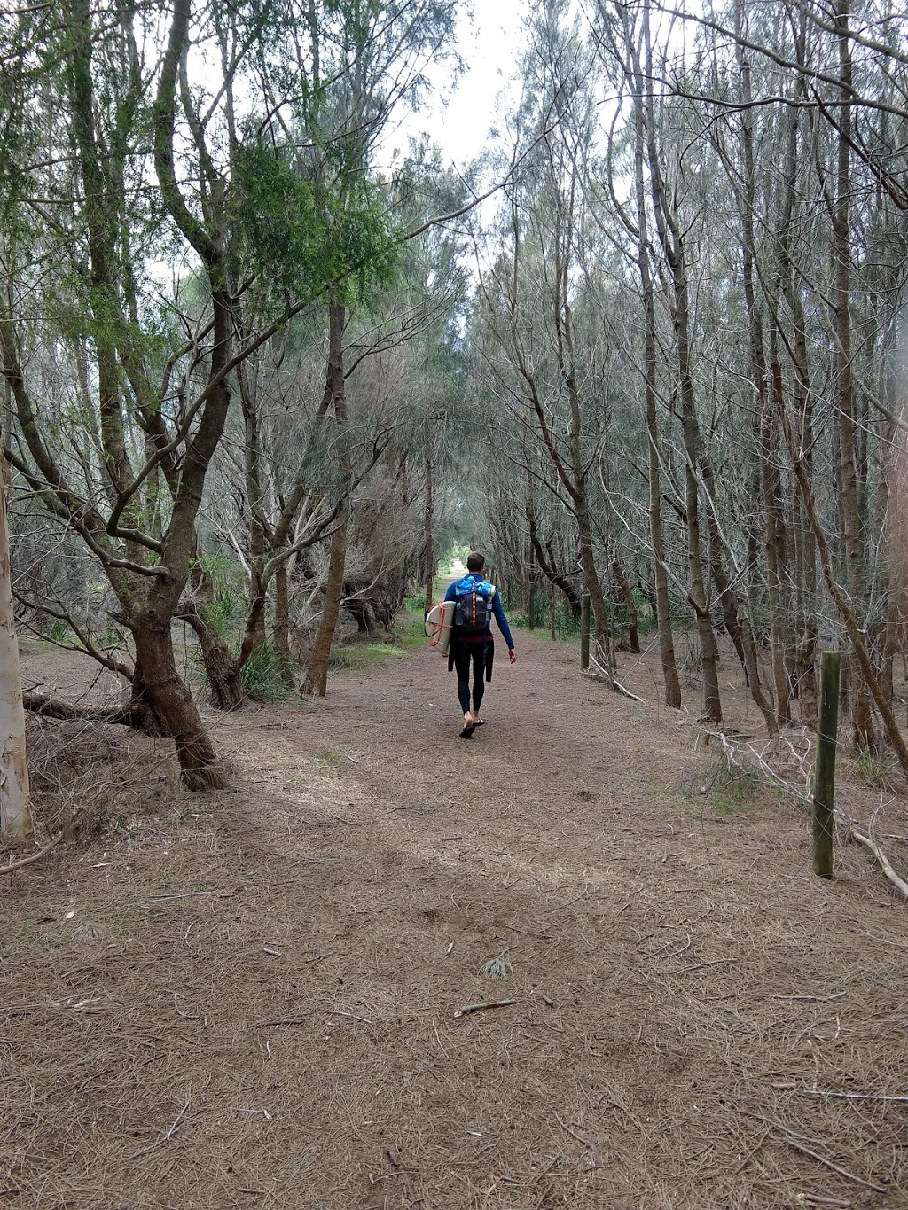 Murramarang Aboriginal Area Walking Track Trail Head | park | 1502334/5 National Route 1, Lake Tabourie NSW 2539, Australia